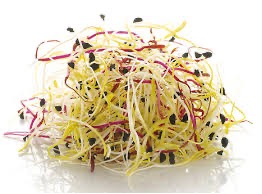 Flashy Sprouts