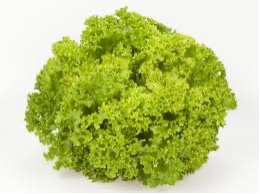 Lettuce lollo bionda