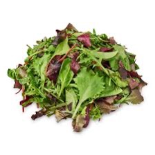 Mesclun 