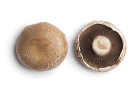 Mushroom Portobello