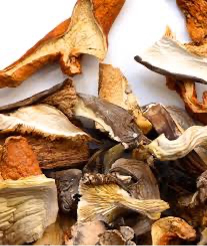 Mushrooms Mixed Dried
