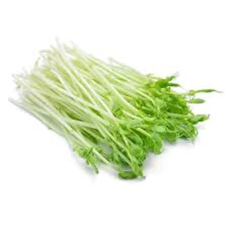 Pea Sprouts