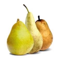Pears In Season [best available quality]