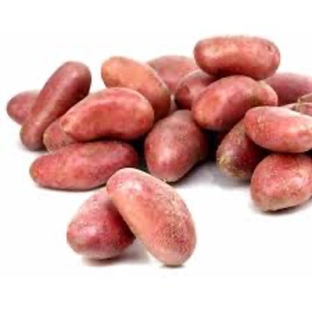 Potato Baby Red