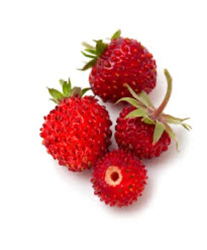Strawberries Wild