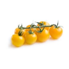 Tomato Cherry Honey on the vine