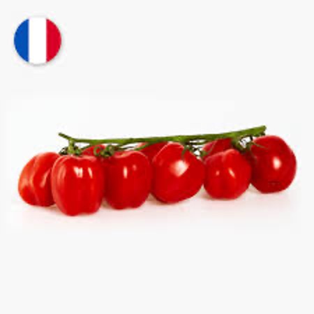 Tomato Datterino on The Vine