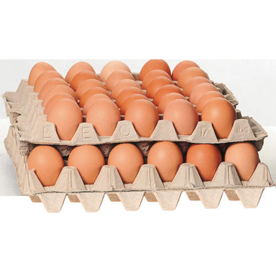 Eggs Medium Free Range [box of 90]
