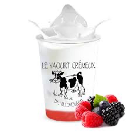Yoghurt Cows Milk Fruit