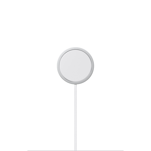APPLE Induction Charger [2m]