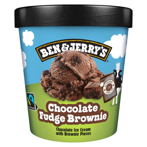 BEN & JERRY'S Chocolate Fudge Brownie [pots]