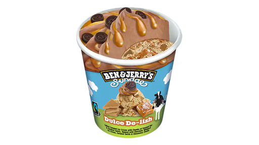 BEN & JERRY'S Dulce de Lish [pots]