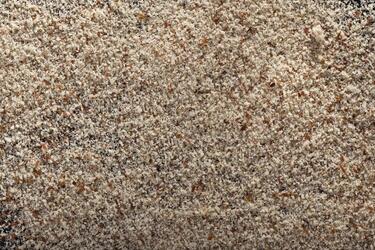 Hazelnut Powder