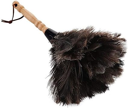 CULASIGN: Ostrich feather duster