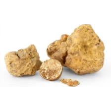 Truffles White Fresh