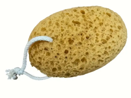 Sponge Natural Shower Body