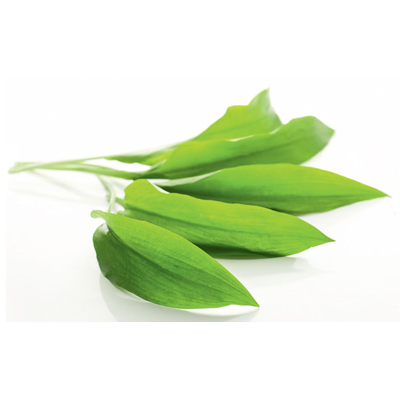 Wild Garlic Leaves