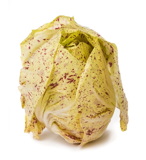 Lettuce Raddichio di Castelfranco