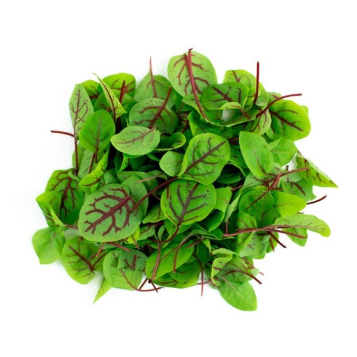 Micro Cress Red Veined Sorrel