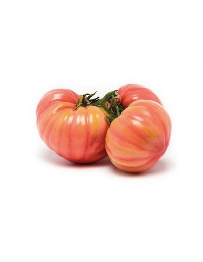 Tomato di Sorrento