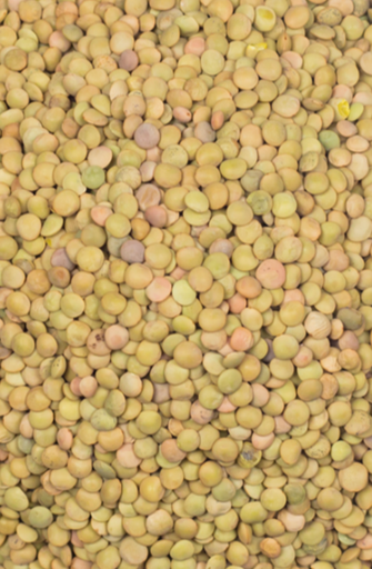 BELAZU Umbrian Lentils