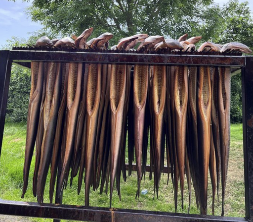 Whole smoked eel