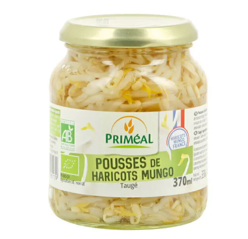 Mungo bean sprout in jar