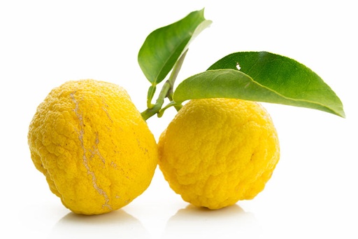 Lemon Yuzu