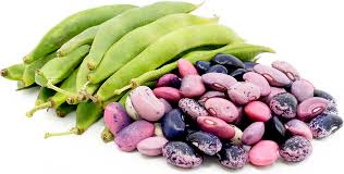 Beans Runner (Purple Beans)