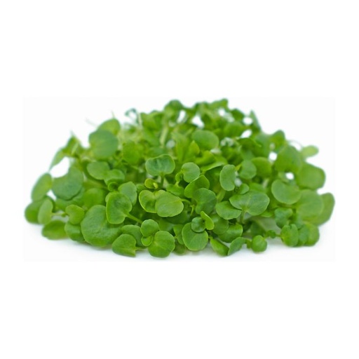 Micro Watercress