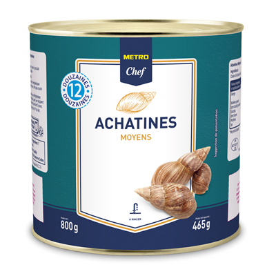 Achatine - Medium Size