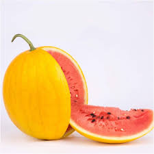 Golden Watermelon [each]
