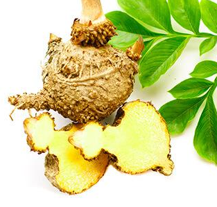 Konjac