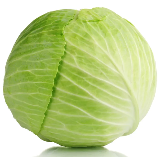 Cabbage Green