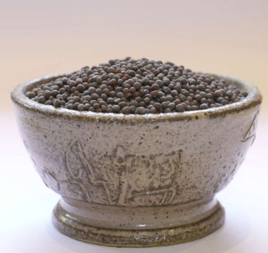 PLACE DES EPICES Oragnic Mustard Brown Seed