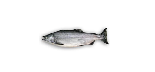 Salmon Wild 4-6kg [Piece]