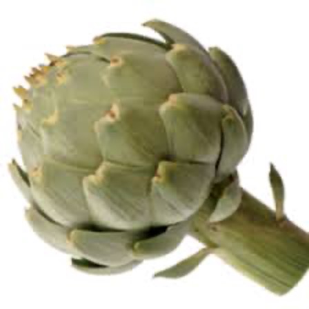 Artichokes Globe [piece]