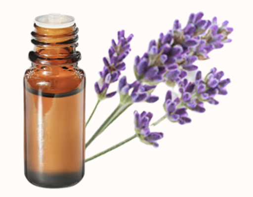 AROMAZONE Essential oil : Lavender