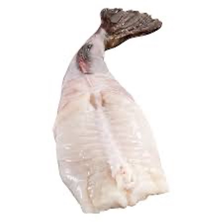 Monkfish Tail 1-2kg - Skin Off [Piece]