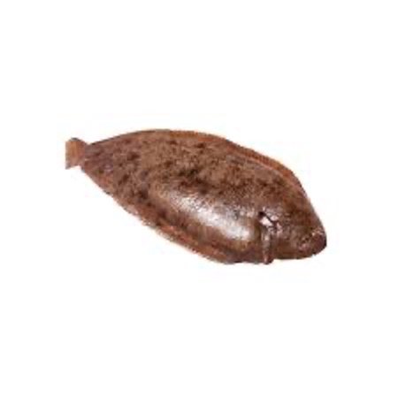 Sole Whole 600-700g [Piece]