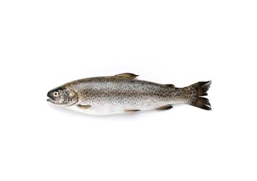 Trout Whole 1-2kg [Piece]