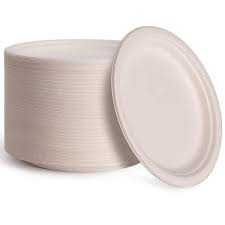 Disposable Carton Plate [26cm]