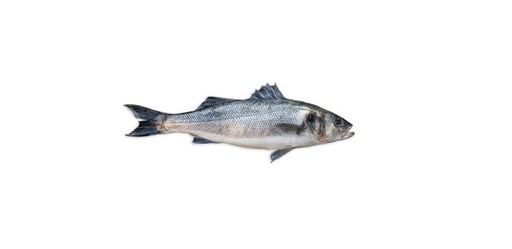 Red Porgy Whole 2-3kg