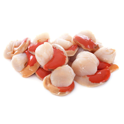 Frozen Scallops Coral Clean
