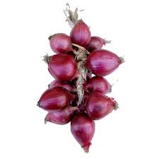 Onion Tropea