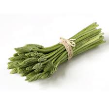 Asparagus Wild [bunch]