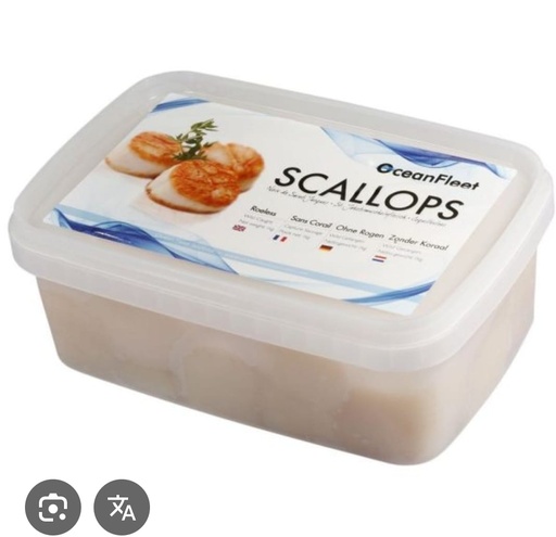 Scallops Whole Frozen