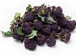 Puple Sprouting Brocoli