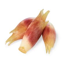 Myoga (Japanese Ginger Flowers)