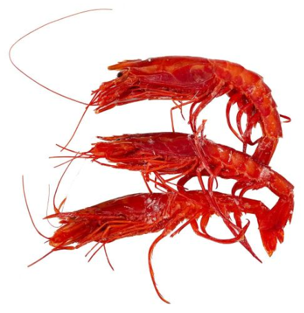 Prawns Carabineros Whole 8/10